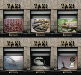 studio ♥ love / hate
