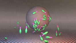 studio ♥ love / hate
